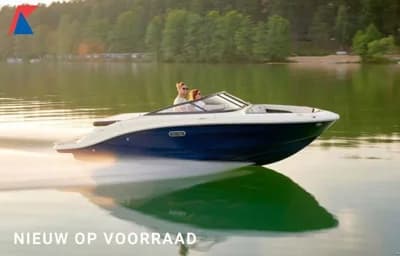Sea Ray SPX 190 Nieuw Model 2