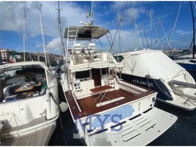 Blackfin - 38 convertible 2