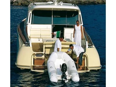 Mochi craft - 51 dolphin 2