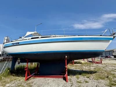 Genzel Orion 34 2