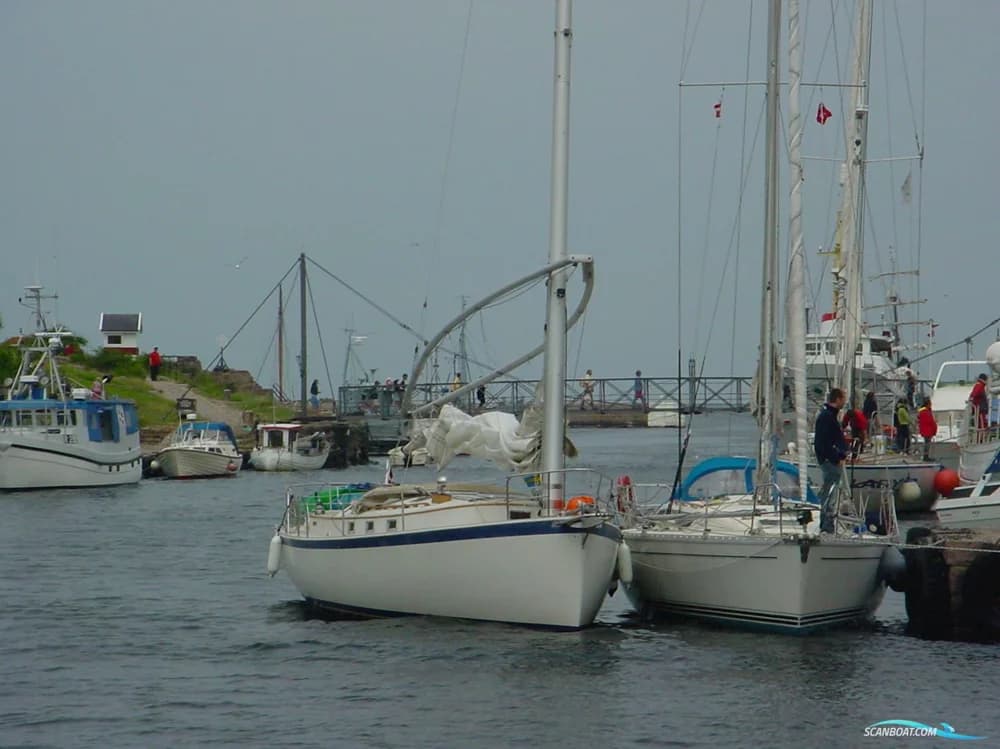 Nonsuch 30U
