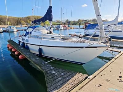 Deerberg Beryll 30 2