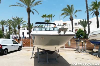Sea Ray SPX 230 2