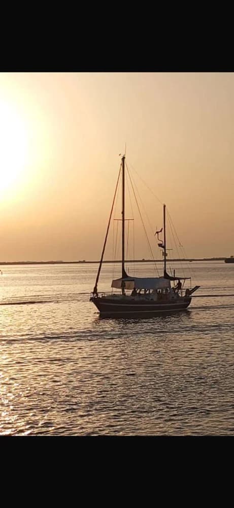 TORTUGA 38