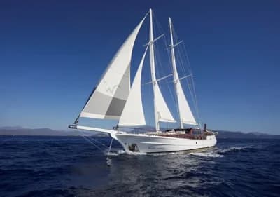 2020 Gulet 38m Boat for Sale in Bodrum 2