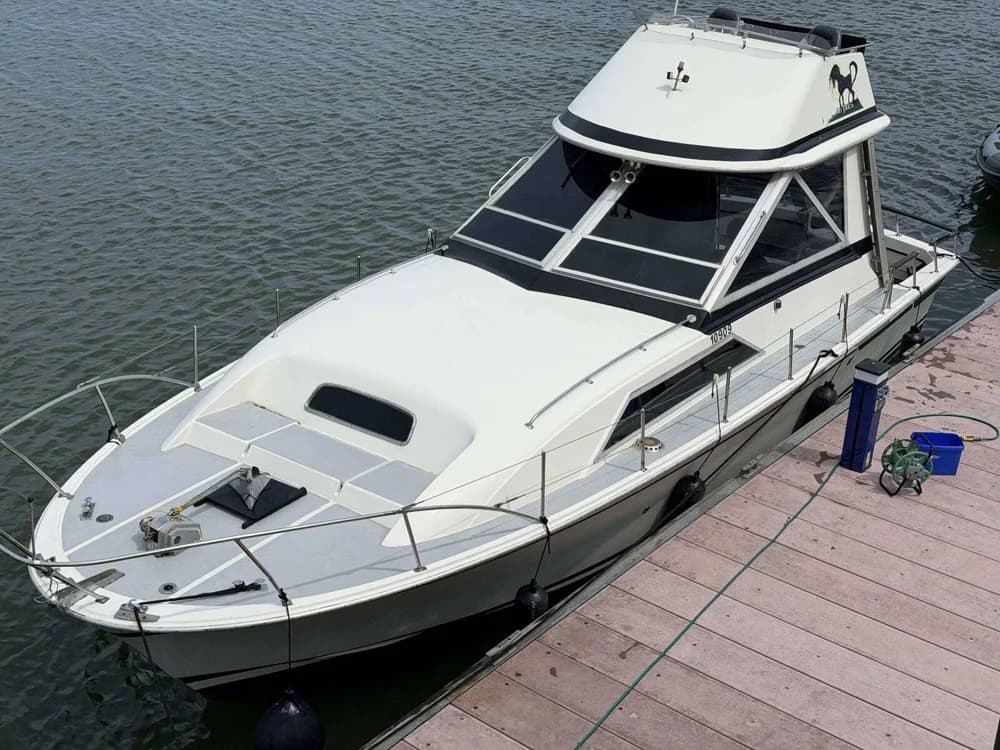LAGUNA 33
