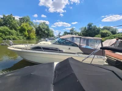 Sea Ray SRV 245 Sundancer 2