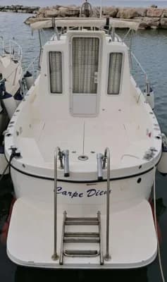 Parente 75 Delfino 2