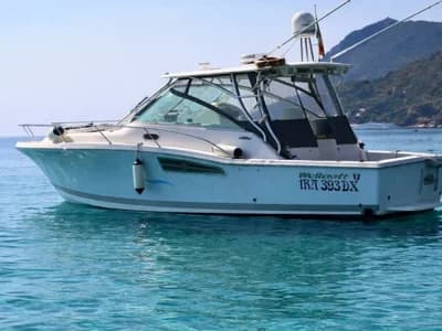 Wellcraft Coastal 360 2
