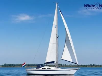 1984 Breewijd 31 Boat for Sale in Hoorn 2