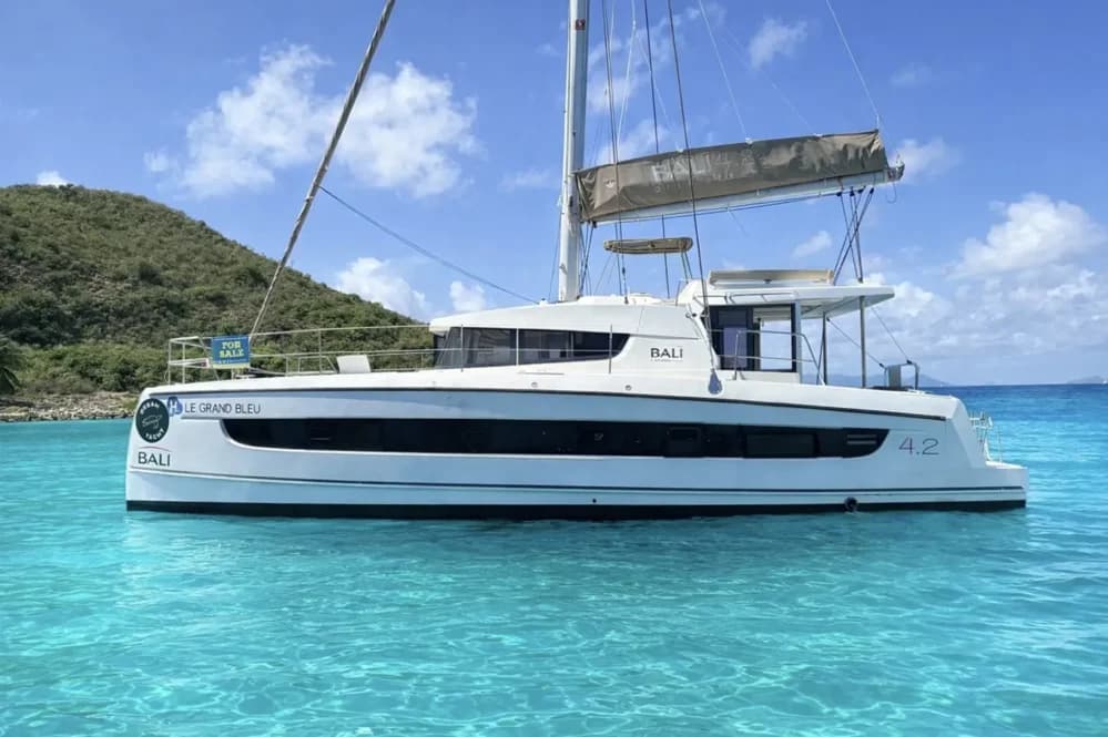 2021 Bali 4.2 Boat for Sale