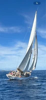 Ambrosi Sciarelli 50 3