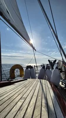 Vindö 50 Ketch 3