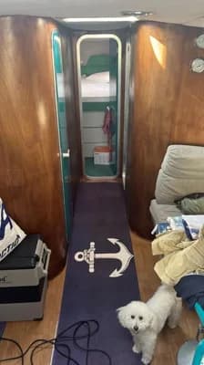 Cranchi Mediterranee 40 2