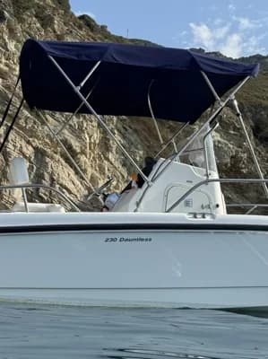 Boston Whaler Dauntless 230 2