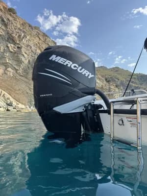 Boston Whaler Dauntless 230 3