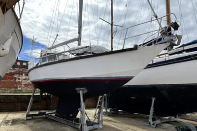 1987 Bruce Roberts 34 | 10m 2