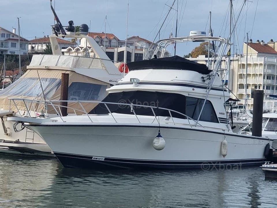 Blackfin 38 Convertible