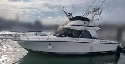 Blackfin 38 Convertible 2