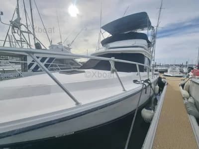 Blackfin 38 Convertible 3