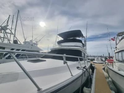 Blackfin 38 Convertible 4