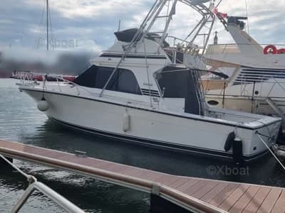 Blackfin 38 Convertible 5