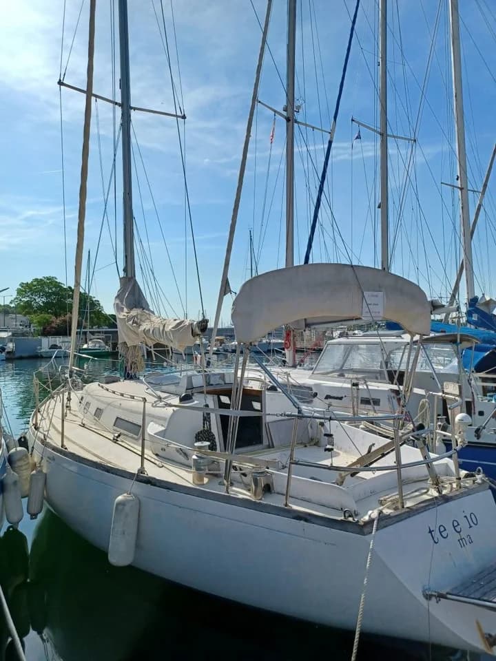 Olympic Carter 33