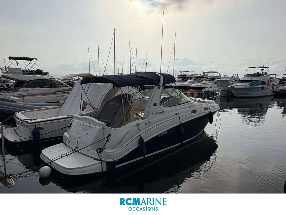 Sea Ray Sundancer 315