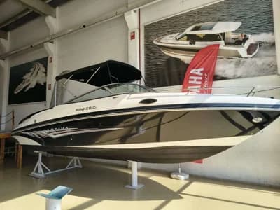 Rinker 246 Captiva 2