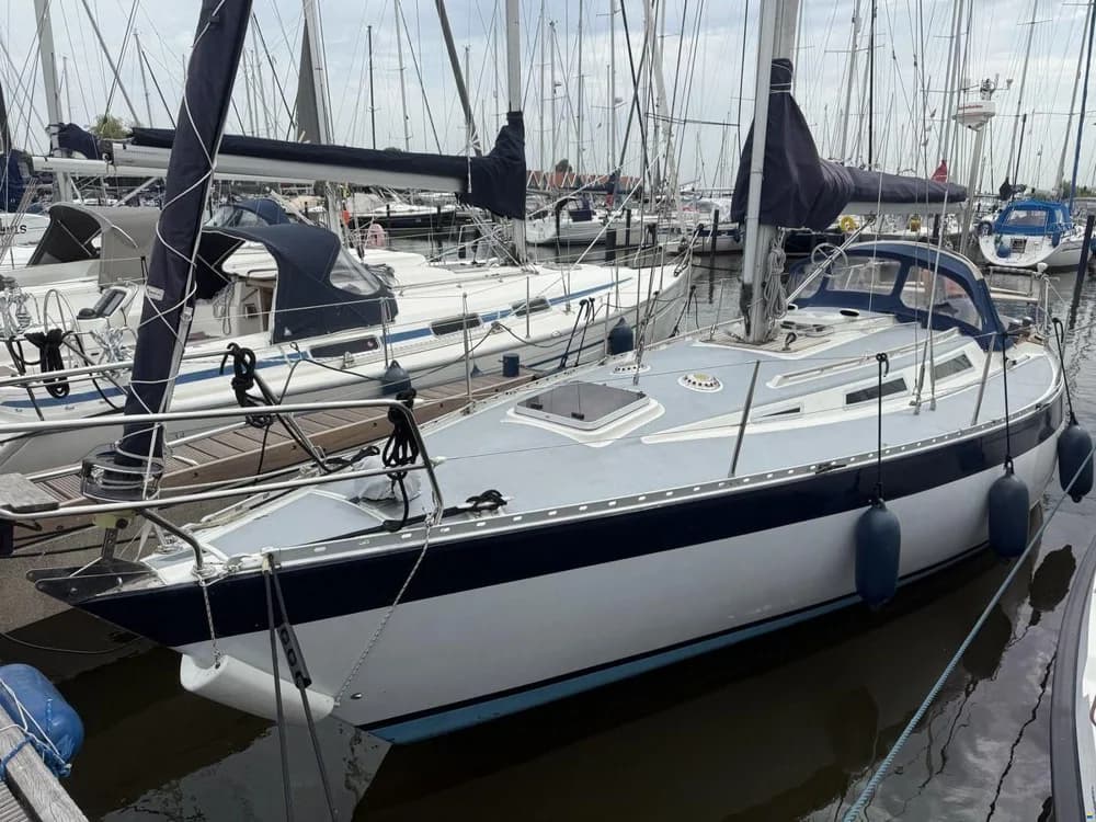 Wauquiez 33