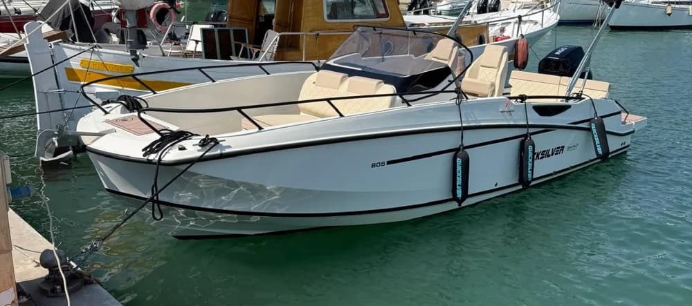 Quicksilver Activ 805