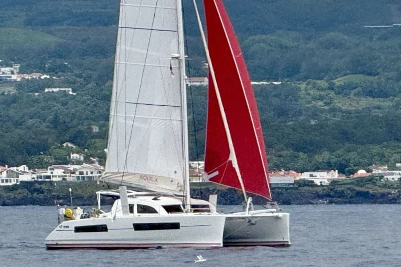 Catana 47 Carbon
