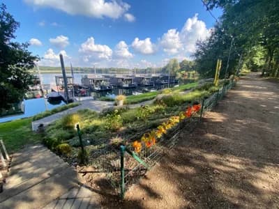 2021 Havenlodge Melite (met Huurligplaats) | 11m 2