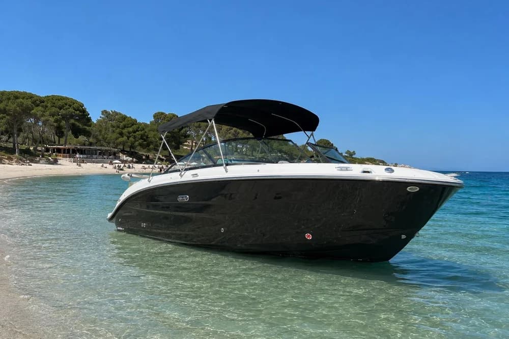 Sea Ray SDX 250 Outboard