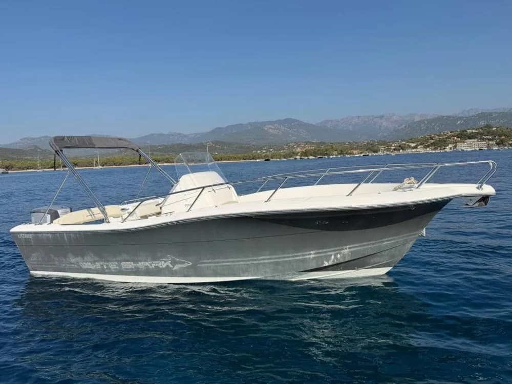 2015 White Shark 226
