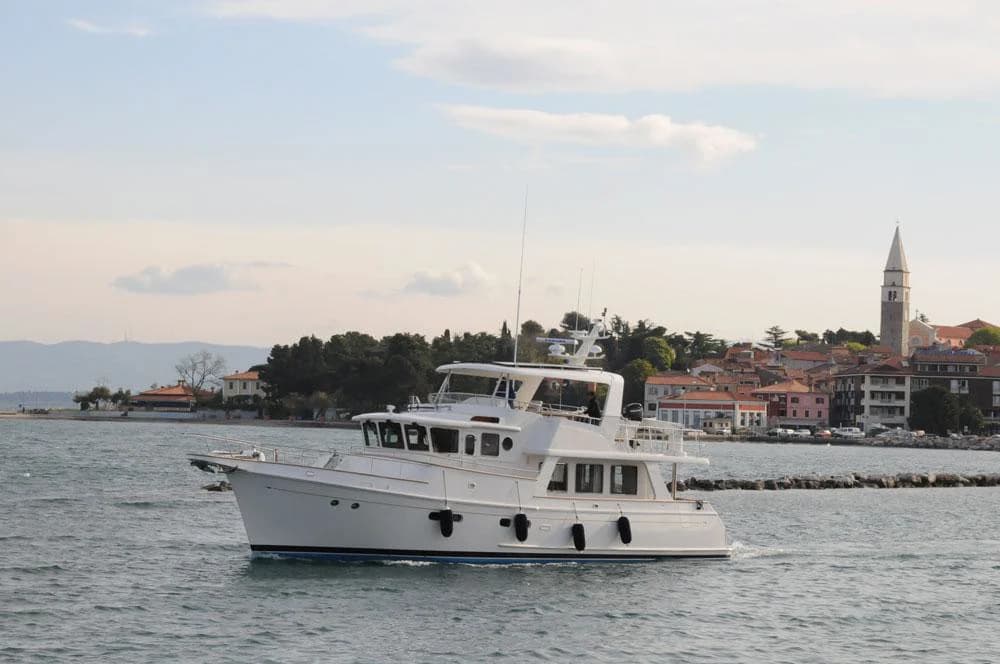 Selene 54