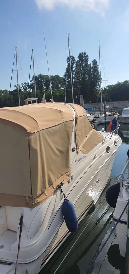 Sea Ray Sundancer 315