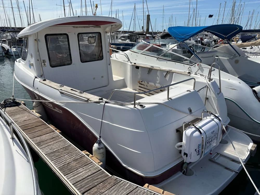 Arvor 250