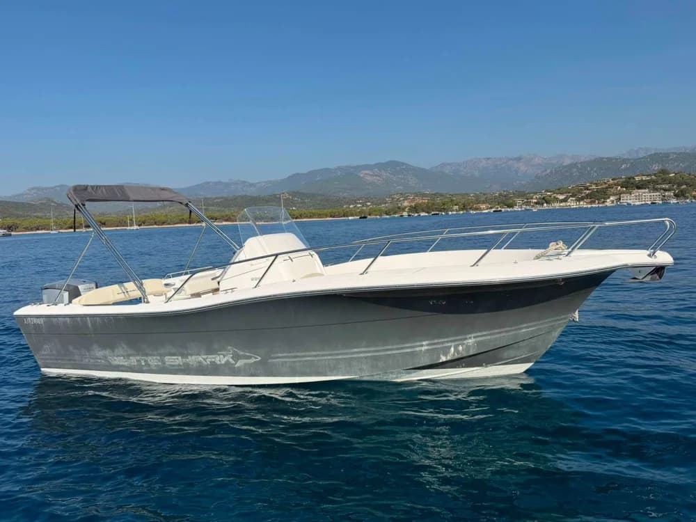 WHITE SHARK 226