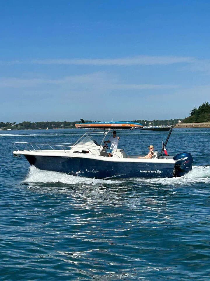 White Shark 268