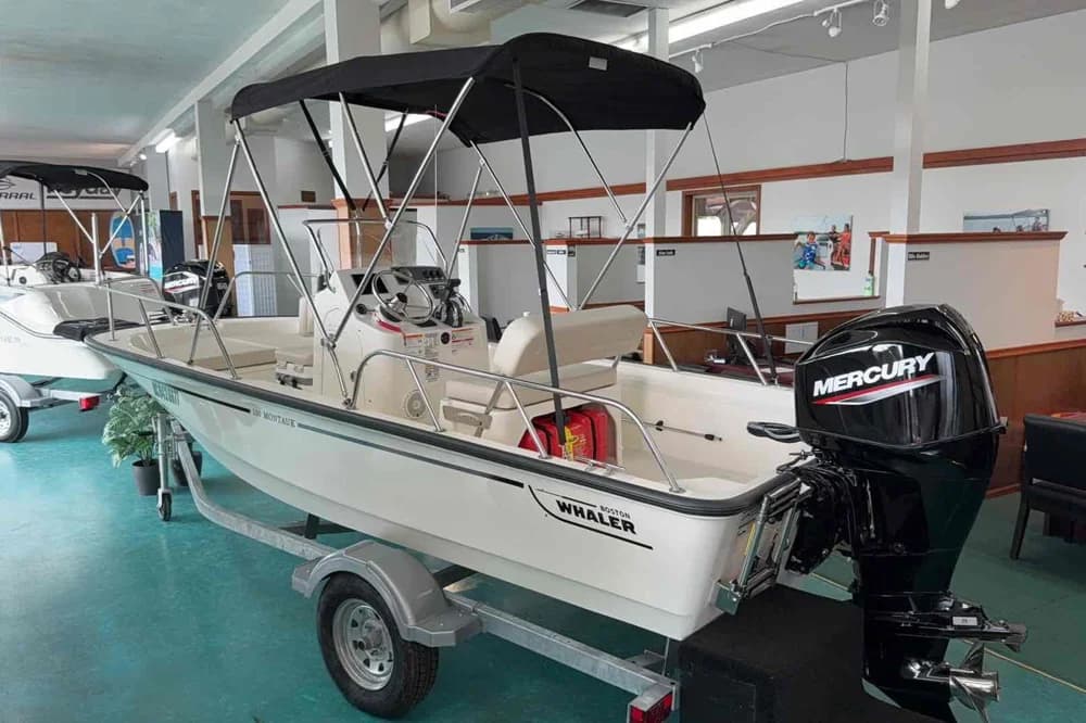 Boston Whaler 150 Montauk