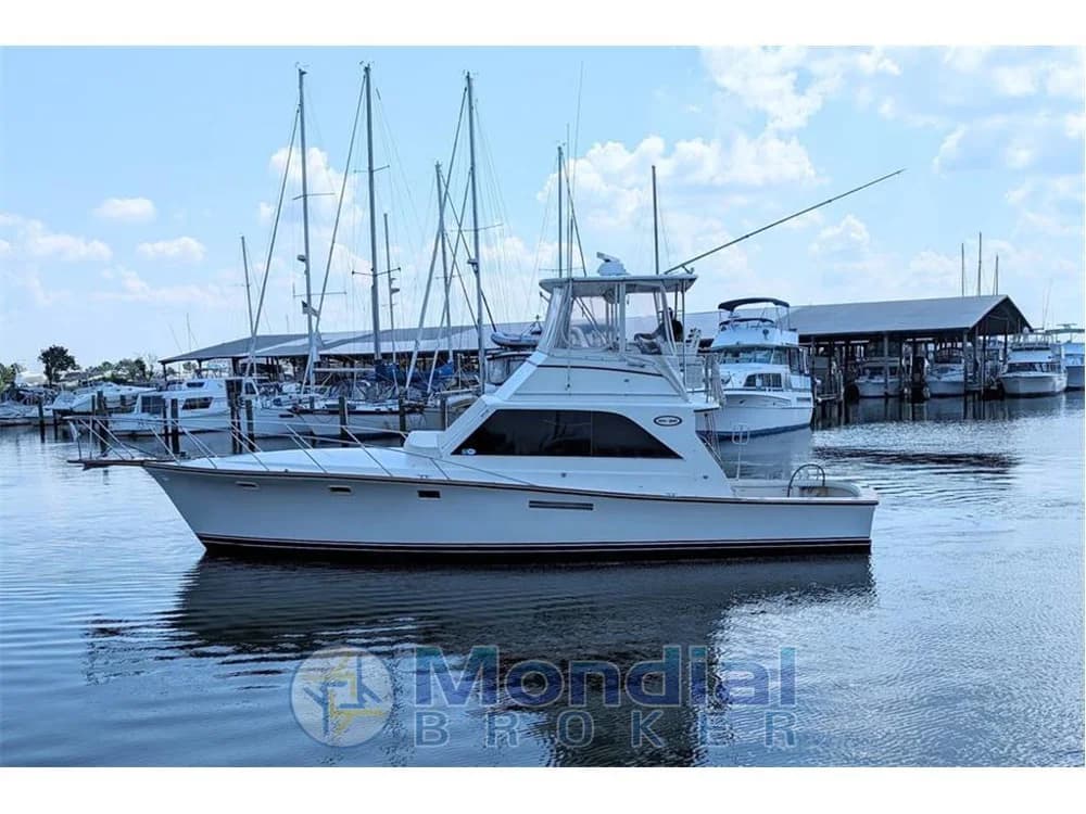 Ocean Yacht - 42 Super sport