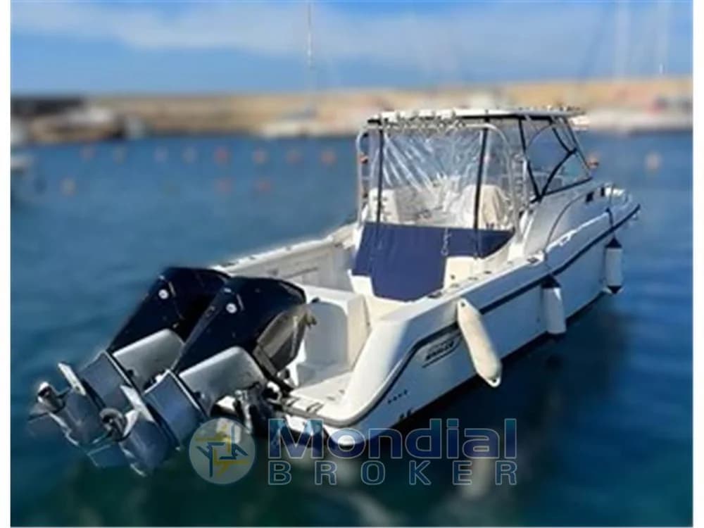 Boston Whaler - 305