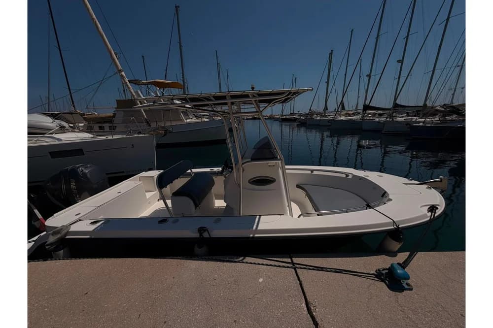 2006 Bayliner 2103 Trophy | 6m
