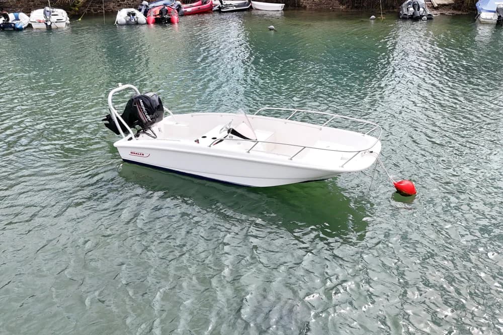 Boston Whaler 150 Super Sport