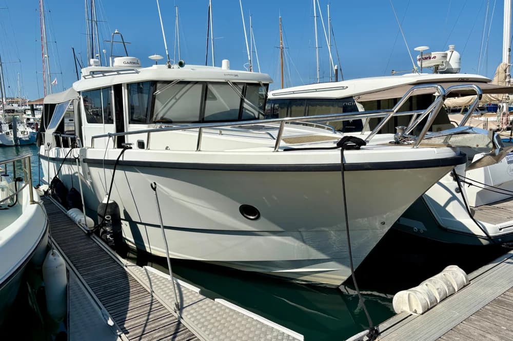 Sargo 36