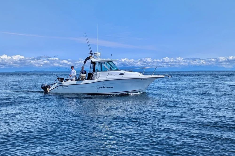 Seaswirl Striper 2601 Walkaround I/O