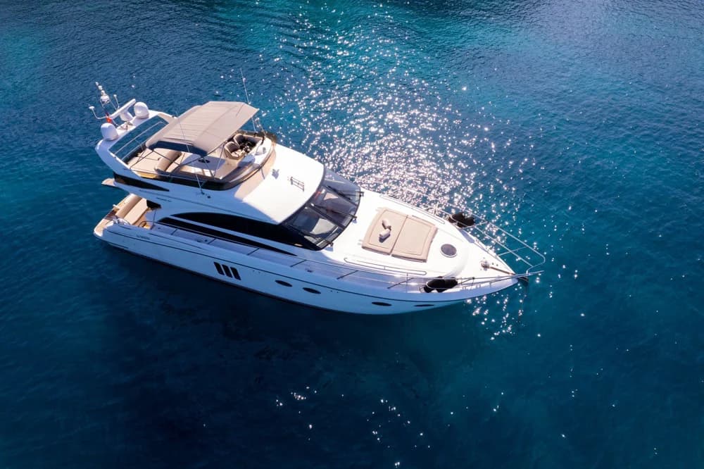 Princess 54