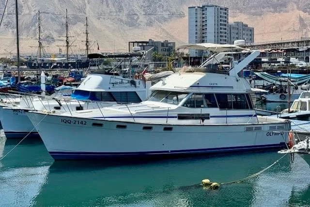 Bayliner 3818 Motoryacht