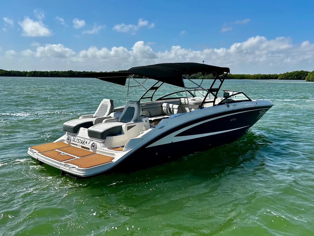 Sea Ray 290 Sundeck